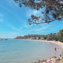 (주)바이오크 이미지