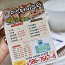 미스터 아구왕 이미지