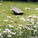 원불교 동해교당 이미지