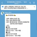 롯데 SKY RUN 마라톤 알바후기