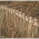 용구농장 이미지