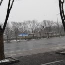 동막역 3번출구 이미지