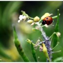 백도항구모텔 | 거문도 여행기