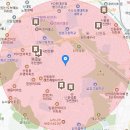 꿈나무피아노교습소