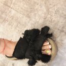 아튼빌 후문 이미지