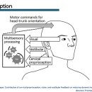 이진복한의원 이미지