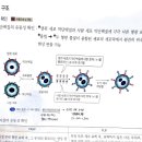 2021고양이 11장 15번 폴리에틸렌글리콜 이미지