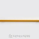 바우하우스미술학원