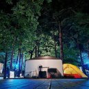 무릉계곡힐링캠프장 이미지