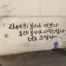 파크볼링센타 이미지