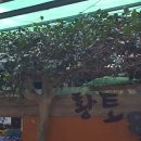 벗길민박 이미지