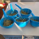 신기낙시터 이미지