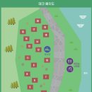 호명산잣나무숲캠핑장 이미지