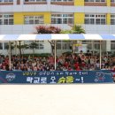 김천부곡초교 이미지