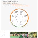 마리스텔라 이미지