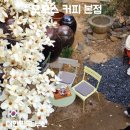 (주)모모스 | 부산 목련카페 모모스 커피 본점 세계 카페 22위 방문 후기