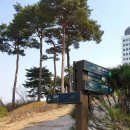 명동숙녀복 | 코로나 발생 후의, 남대문시장 남산공원 명동거리 짧게 둘러보고 온 날.