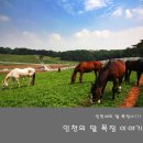인천이야기 - 인천의 말과 목장에 관한 이야기