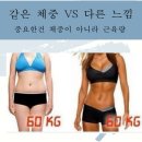 티엠스포츠
