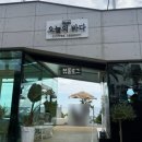 오늘의 바다 | 제주 통창 오션뷰 카페 ㅣ 한적하고 따뜻한 감성의 오늘의바다 내돈내산 후기