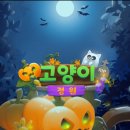 고양이정원 이미지
