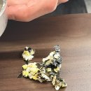 쭈꾸미대장 | 하남 미사역 맛집 '미사 쭈꾸미 대장' 방문 후기