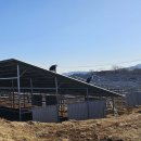 연금 태양광발전소 이미지