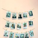 복이네도그살롱 이미지