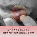 이준희내과의원 이미지