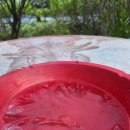 251028(화) 고양 식사동 아침 사진 이미지