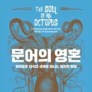 문어사랑 이미지