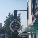 싸인디제이