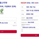 스타링크 이미지