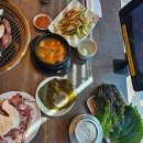 여수동진갈매기 이미지