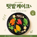 누리콩어린이집 | 아이들과 함께 만드는 작은 텃밭[텃밭케이크만들기KIT]
