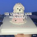 하삼동커피배곧호반써밋점 | 시흥 배곧 애견수제간식 맛집 봉츄르｜강아지 생일케이크 재방문 후기🐶