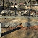 팔공산올레길 8코스 이미지