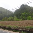 전원 오토캠핑장