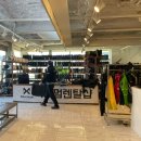 엘리시안스키강습맥시멈렌탈샵