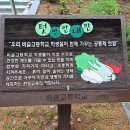 비슬고등학교 이미지