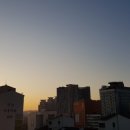 풀잎사랑