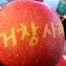 지구촌농원 이미지