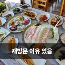 일월매운탕 | 속초오션뷰횟집 일월횟집 장사항맛집 재방문 후기