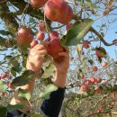 광용농장 이미지