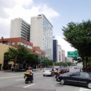 강남-237 이미지