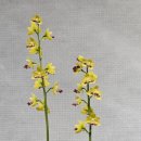 우란농장 이미지