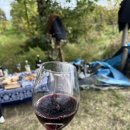 사가농장 | 조지아여행 2일차 : 사가레조 여행 베이커리 Meringa, 와이너리에서의 조지아 수프라