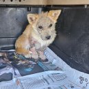 소답동225 이미지