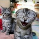 알콩달콩 이미지