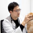 서초 이태형 동물병원
